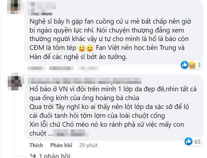 Phát ngôn của Kim Oanh vấp phải nhiều bình luận trái chiều