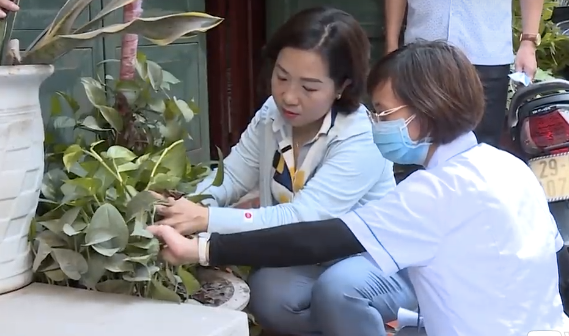 Hoạt động phòng, chống bệnh sốt xuất huyết tại Hà Nội Hoạt động phòng, chống bệnh sốt xuất huyết tại Hà Nội