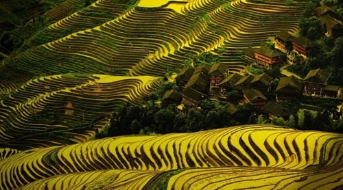 Đặc sản Tết Campuchia: Đắt hàng từ bánh bò tới cá khô ảnh 3 Đặc sản Tết Campuchia: Đắt hàng từ bánh bò tới cá khô ảnh 3