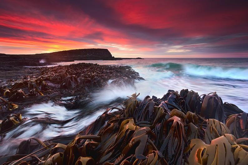 Ảnh đẹp: Thiên nhiên kỳ vĩ của New Zealand ảnh 4 Ảnh đẹp: Thiên nhiên kỳ vĩ của New Zealand ảnh 4