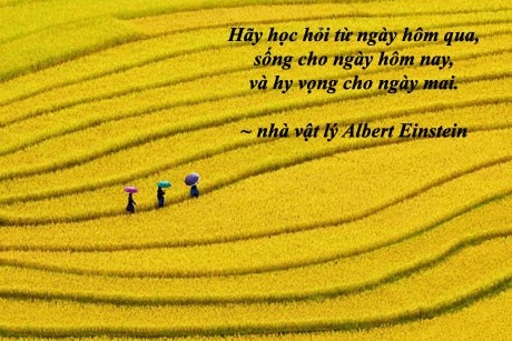 10 câu nói ý nghĩa cho ngày đầu năm - ảnh 2