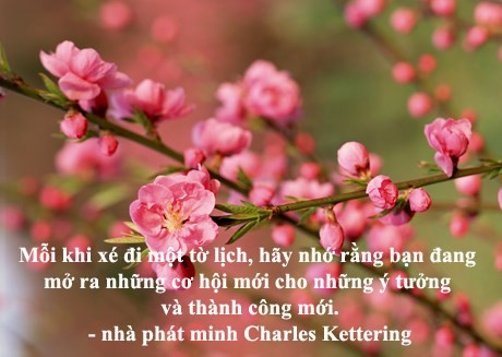 10 câu nói ý nghĩa cho ngày đầu năm - ảnh 9