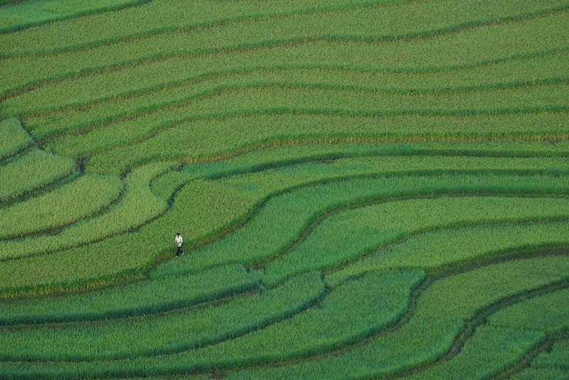Việt Nam tuyệt đẹp trên Photography Life ảnh 11