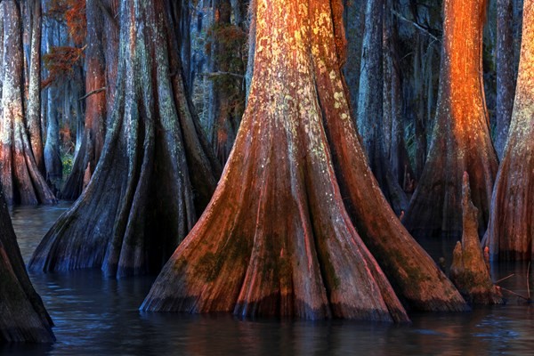 Việt Nam giành giải thưởng nhiếp ảnh du lịch ấn tượng ảnh 14 Việt Nam giành giải thưởng nhiếp ảnh du lịch ấn tượng ảnh 14