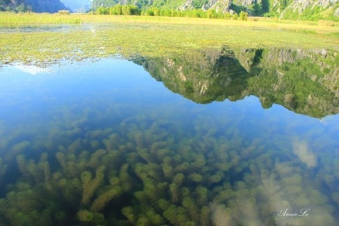 Những địa danh tuyệt đẹp của VN có mặt trong “Kong: Skull Island“ ảnh 3 Những địa danh tuyệt đẹp của VN có mặt trong “Kong: Skull Island“ ảnh 3