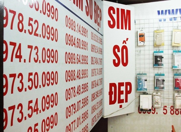 Sim 'siêu đẹp' 9 con 8 sẽ được đấu giá