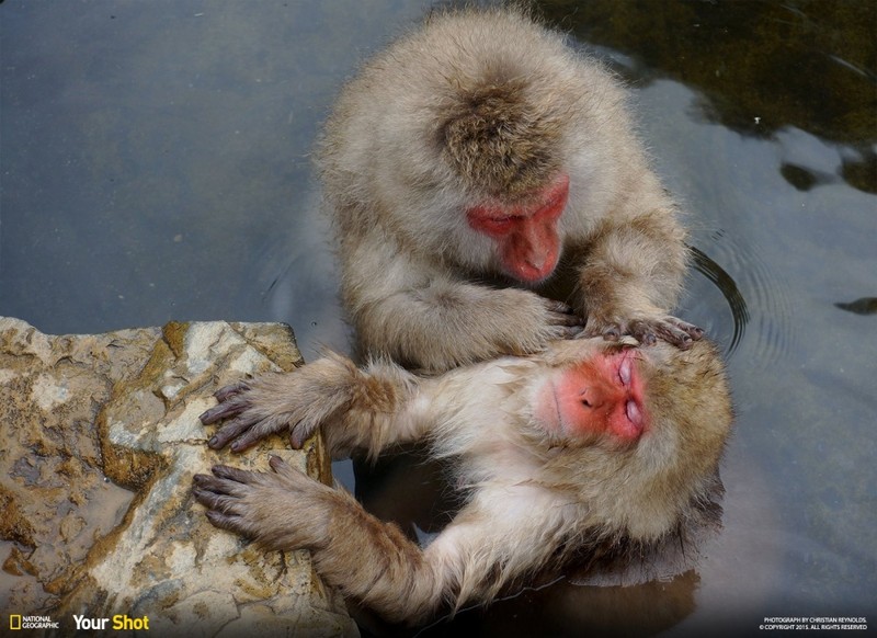 20 bức ảnh "có hồn" nhất của National Geographic ảnh 19