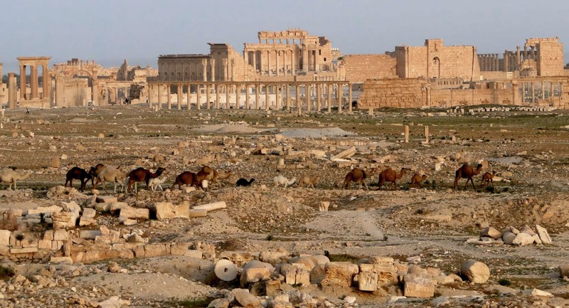 Lính cảm tử Nga vô hiệu hóa 12.000 quả bom ở Palmyra