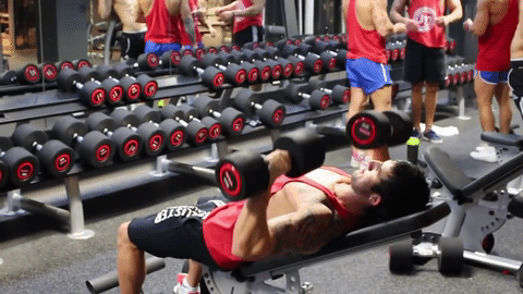 Sự thật đau lòng tại phòng tập gym ảnh 2