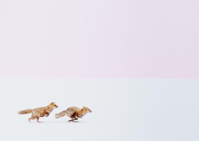 23 ảnh du lịch đẹp nhất thế giới năm 2016 trên National Geographic ảnh 4