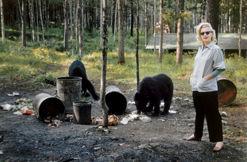 7 bức ảnh chưa từng công bố của minh tinh bạc mệnh Marilyn Monroe ảnh 6