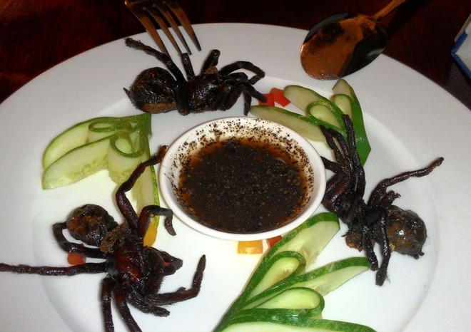 Khám phá đặc sản từ côn trùng ở miền Nam ảnh 1