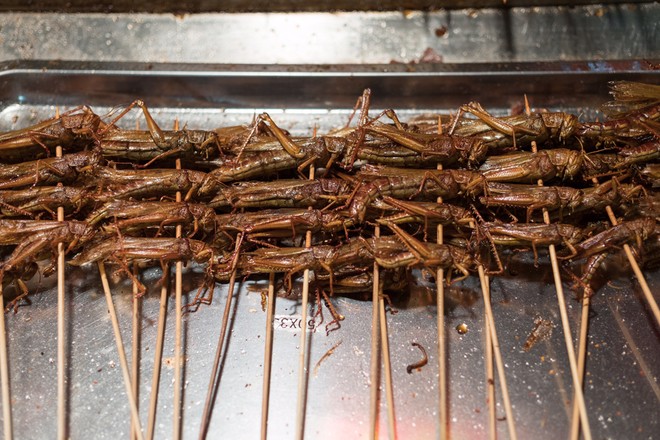 Khám phá đặc sản từ côn trùng ở miền Nam ảnh 3