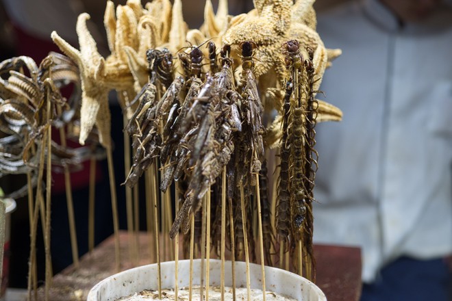 Khám phá đặc sản từ côn trùng ở miền Nam ảnh 6