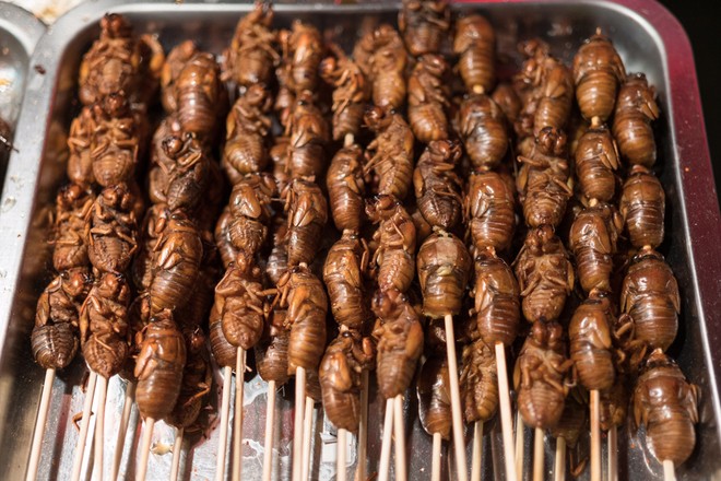 Khám phá đặc sản từ côn trùng ở miền Nam ảnh 5