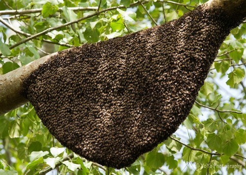 6 dịch vụ du lịch mới cho mùa hè 2016 ảnh 1