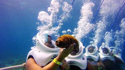 6 dịch vụ du lịch mới cho mùa hè 2016 ảnh 11