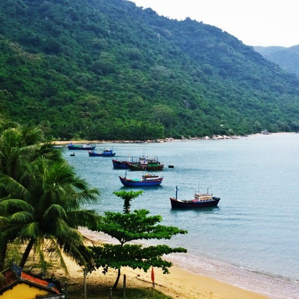 Mê mẩn 5 vịnh biển miền Trung còn rất hoang sơ  ảnh 1