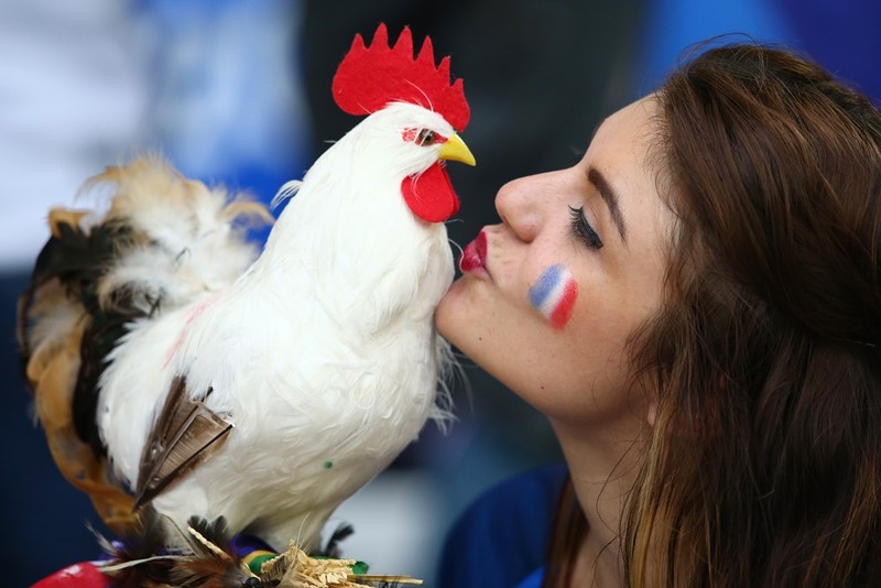 1001 kiểu nụ hôn tại Euro 2016 ảnh 14 1001 kiểu nụ hôn tại Euro 2016 ảnh 14