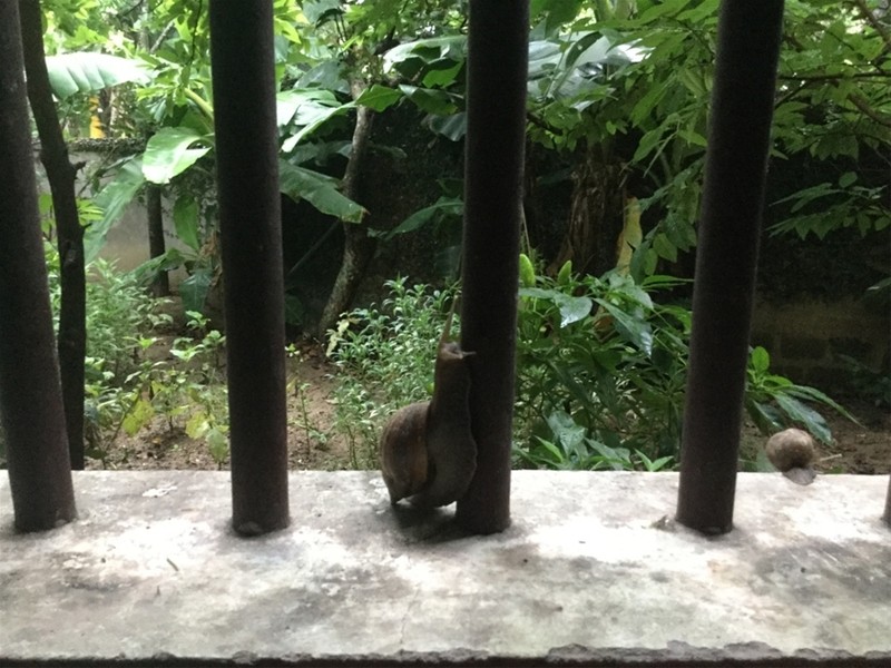 "Một ngày ở Việt Nam" khiến cộng đồng mạng thế giới... "phát sốt" ảnh 3