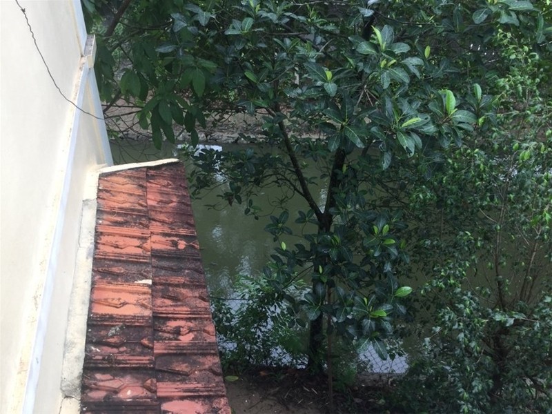 "Một ngày ở Việt Nam" khiến cộng đồng mạng thế giới... "phát sốt" ảnh 12