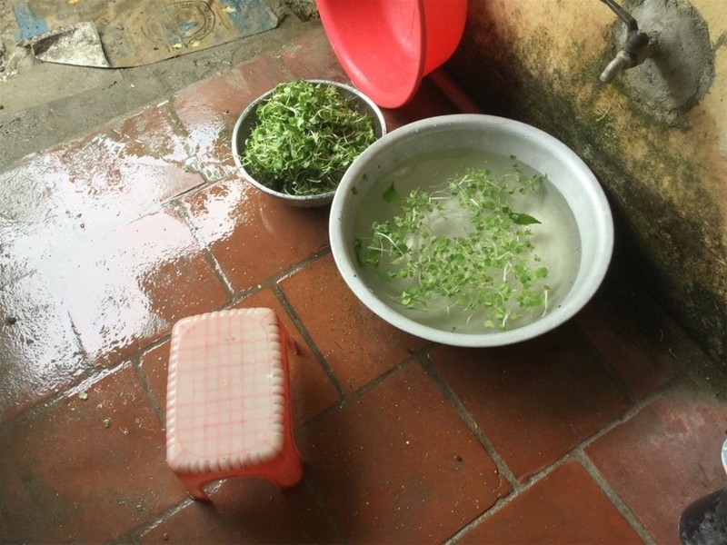 "Một ngày ở Việt Nam" khiến cộng đồng mạng thế giới... "phát sốt" ảnh 26