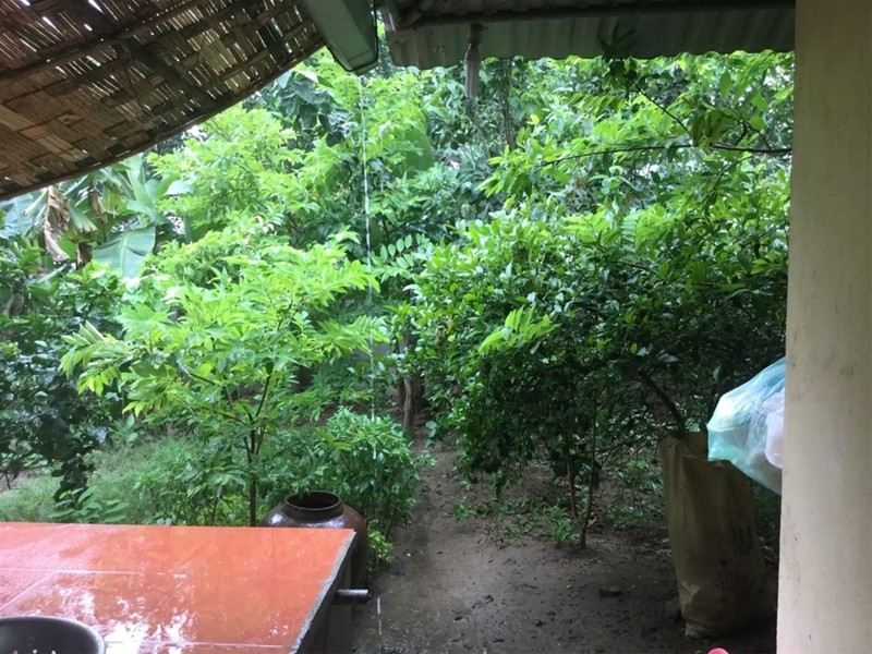 "Một ngày ở Việt Nam" khiến cộng đồng mạng thế giới... "phát sốt" ảnh 30