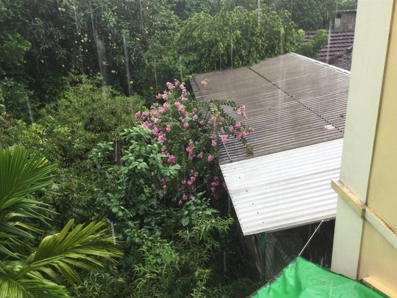 "Một ngày ở Việt Nam" khiến cộng đồng mạng thế giới... "phát sốt" ảnh 31