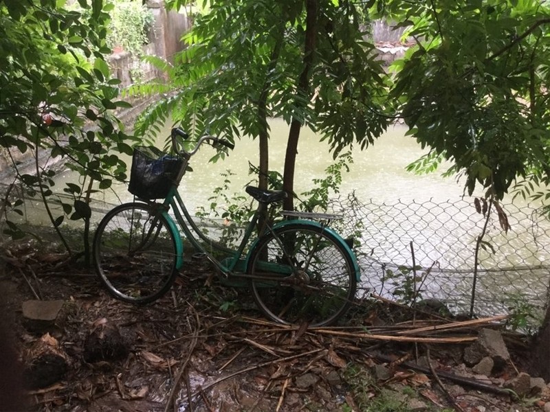 "Một ngày ở Việt Nam" khiến cộng đồng mạng thế giới... "phát sốt" ảnh 32