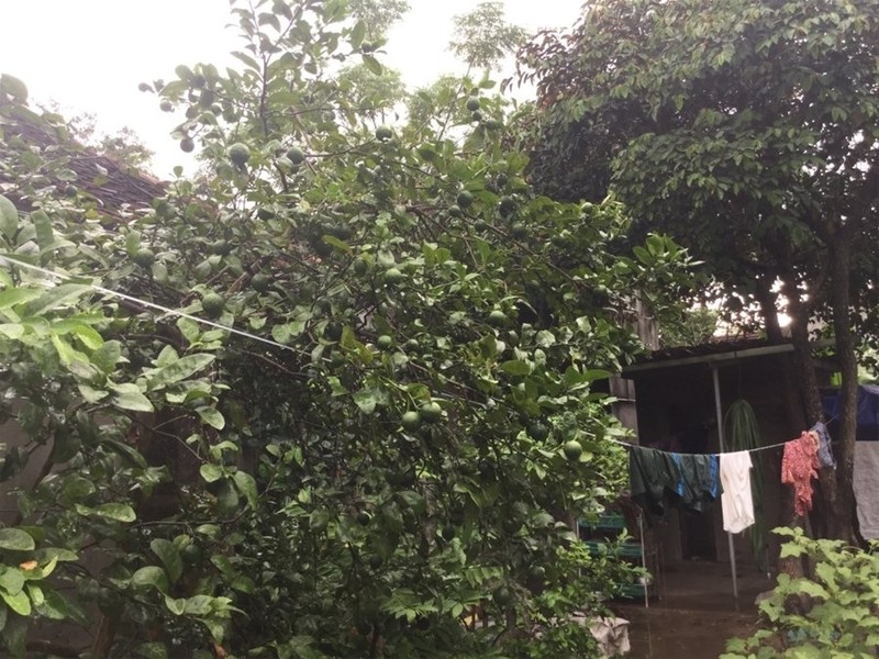 "Một ngày ở Việt Nam" khiến cộng đồng mạng thế giới... "phát sốt" ảnh 39