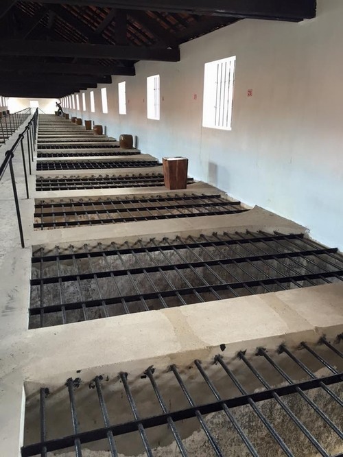 Côn Đảo là điểm đến đẹp thứ tư ở Châu Á ảnh 9