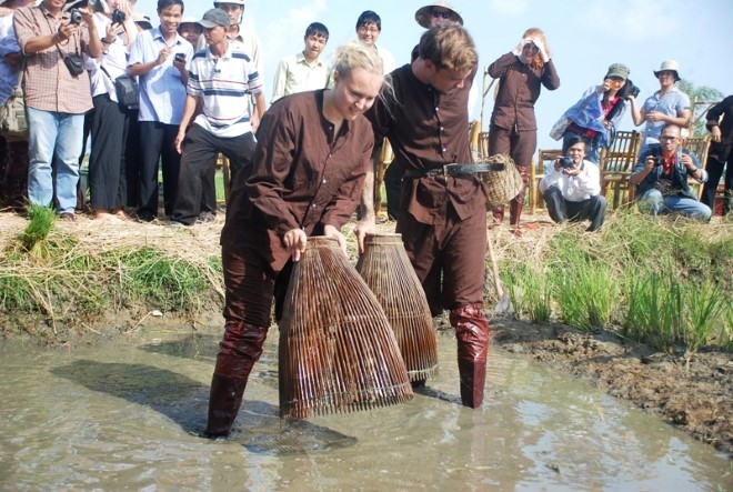 Khách Tây thích thú làm nông dân Việt