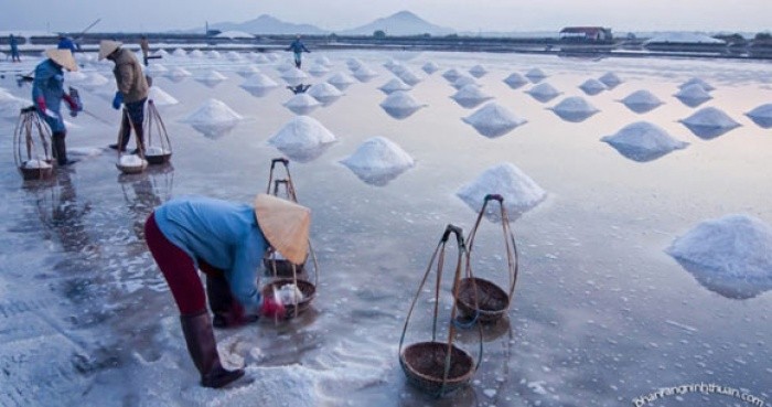Cánh đồng muối Việt: Nơi ngắm hoàng hôn đẹp nhất thế giới ảnh 2 Cánh đồng muối Việt: Nơi ngắm hoàng hôn đẹp nhất thế giới ảnh 2