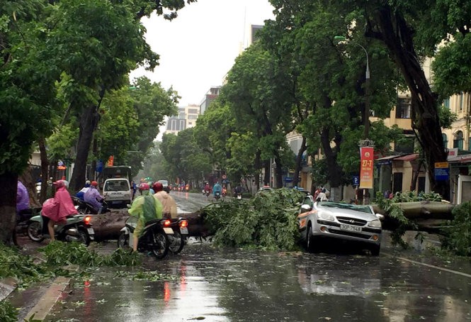 Cơn bão số 1 vừa quét qua tuần trước đã để lại nhiều thiệt hại nặng nề.