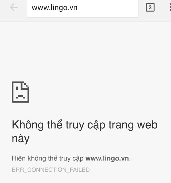 Website thương mại điện tử Lingo.vn "sập tiệm"? ảnh 1