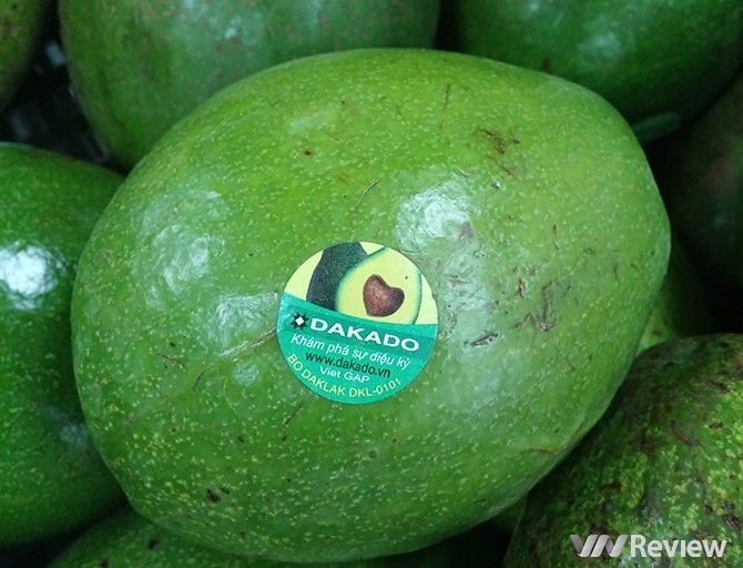 "Đọc vị" nhãn dán trên hoa quả nhập khẩu ảnh 11