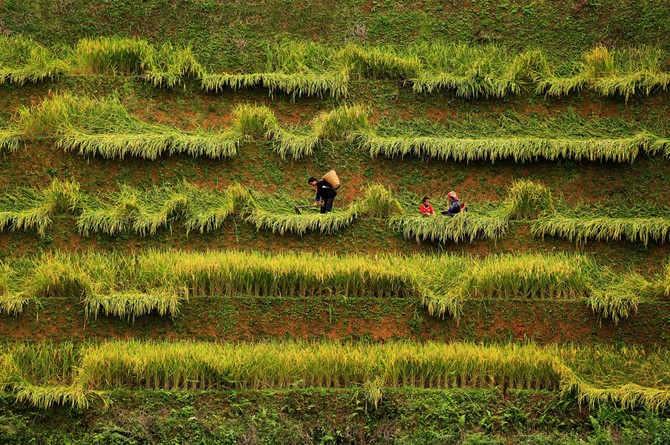 Việt Nam đẹp nao lòng trong loạt ảnh đoạt giải Di sản Việt Nam 2016 ảnh 6 Việt Nam đẹp nao lòng trong loạt ảnh đoạt giải Di sản Việt Nam 2016 ảnh 6