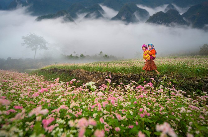 Việt Nam đẹp nao lòng trong loạt ảnh đoạt giải Di sản Việt Nam 2016 ảnh 8 Việt Nam đẹp nao lòng trong loạt ảnh đoạt giải Di sản Việt Nam 2016 ảnh 8