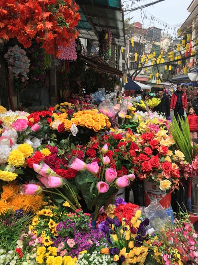 Chợ hoa Hàng Lược nhộn nhịp những ngày cuối năm ảnh 12 Chợ hoa Hàng Lược nhộn nhịp những ngày cuối năm ảnh 12