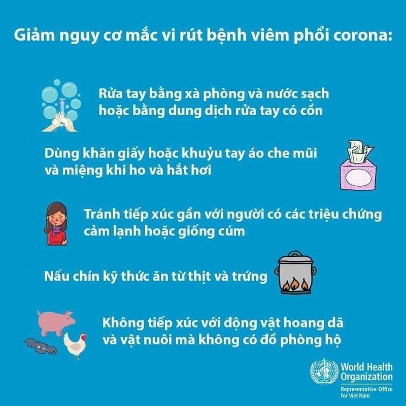 Khuyến cáo của WHO về phòng lây nhiễm virus Corona mới gây viêm phổi cấp Vũ Hán. Ảnh: WHO. Khuyến cáo của WHO về phòng lây nhiễm virus Corona mới gây viêm phổi cấp Vũ Hán. Ảnh: WHO.