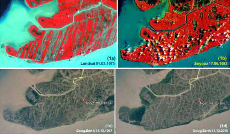 Diễn tiến rừng ngập mặn tại huyện Ngọc Hiển, tỉnh Cà Mau Diễn tiến rừng ngập mặn tại huyện Ngọc Hiển, tỉnh Cà Mau