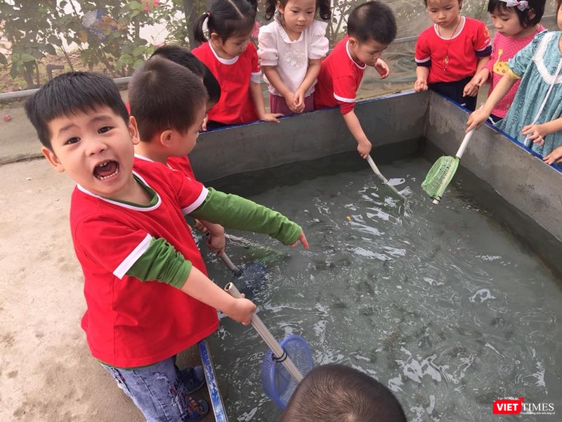 Trẻ trường mầm non Láng Thượng đi dã ngoại tại khu vui chơi tại ngoại thành Hà Nội.