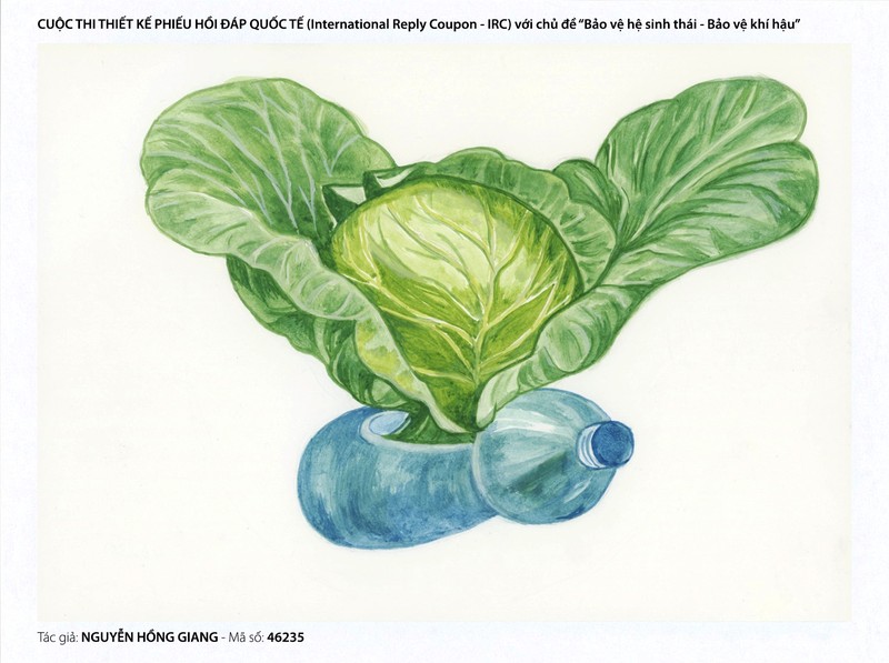 Ảnh: BĐVN cung cấp