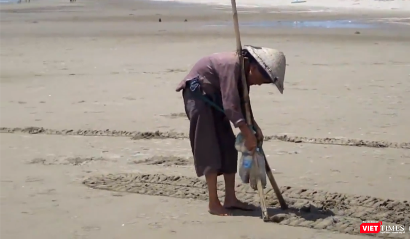 Đôi bàn tay nhanh nhẹn cào rồi nhặt ngao trên biển Cửa Lò.