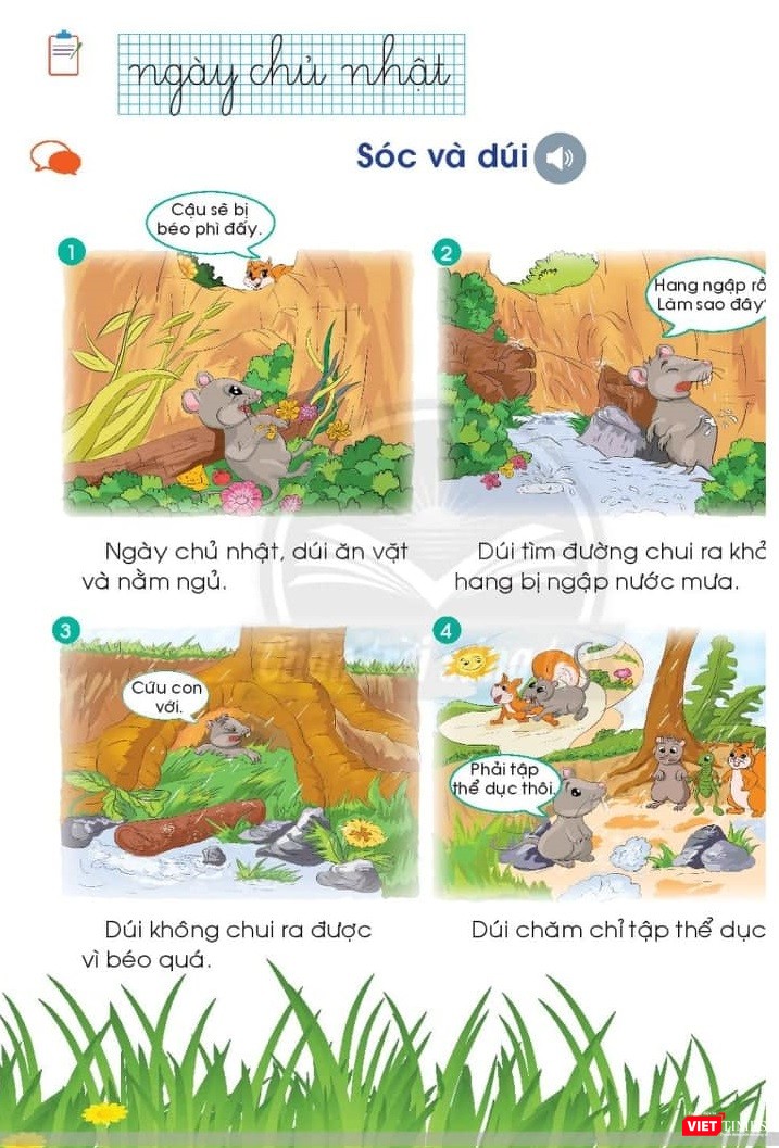 Ảnh chụp từ bản điện tử.