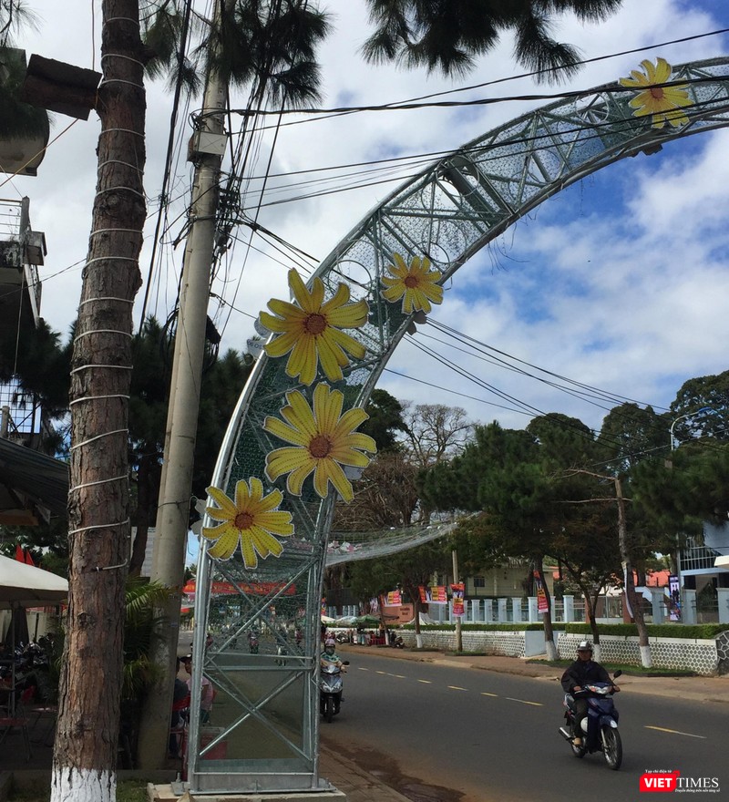 Những bông hoa được treo lên mỗi dịp Tết đến có làm cho đô thị đẹp hơn? Những bông hoa được treo lên mỗi dịp Tết đến có làm cho đô thị đẹp hơn?