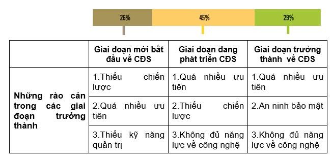 Rào cản trong các giai đoạn trưởng thành kỹ thuật số Rào cản trong các giai đoạn trưởng thành kỹ thuật số