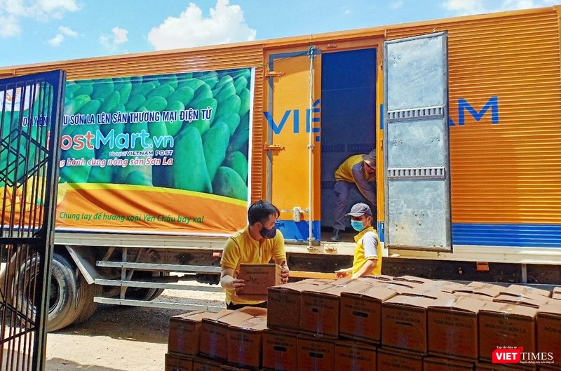 Những đơn hàng đầu tiên trên sàn postmart được khẩn trương đưa đi tiêu thụ. Những đơn hàng đầu tiên trên sàn postmart được khẩn trương đưa đi tiêu thụ.