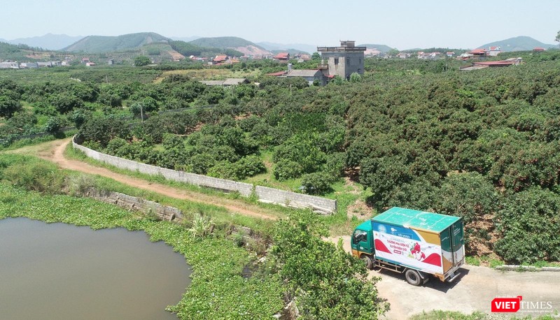 Xe trung chuyển vải trong khu vực cách ly