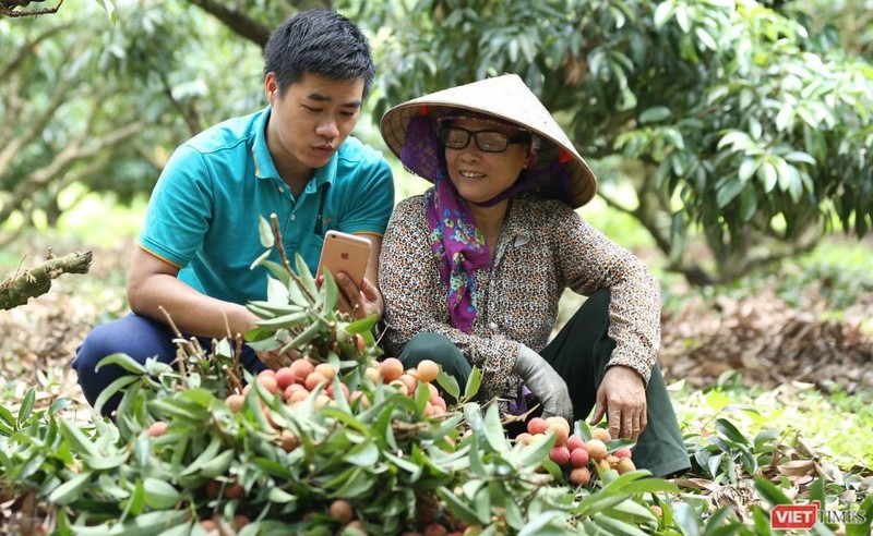 Bản đồ nông sản đặc sản trên sàn TMĐT đang nổi bật lên hình ảnh các doanh nghiệp nội Bản đồ nông sản đặc sản trên sàn TMĐT đang nổi bật lên hình ảnh các doanh nghiệp nội